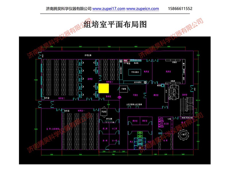 马拉西亚植物深夜视频免费在线观看室（培养室）净化设计