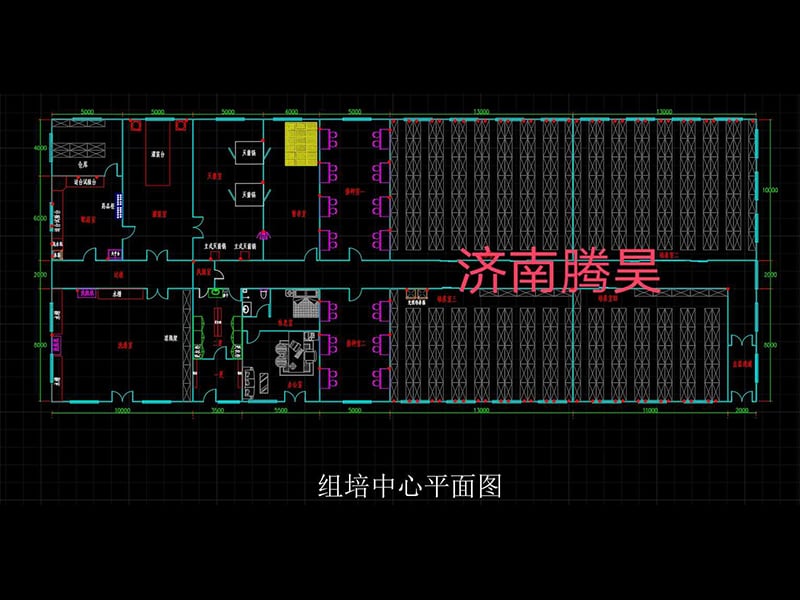 深夜视频免费在线观看  深夜视频免费在线观看室