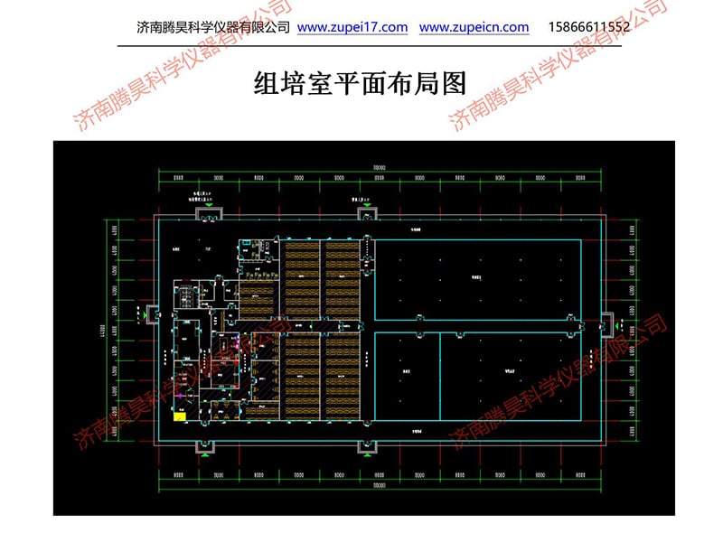 深夜视频免费在线观看  深夜视频免费在线观看室