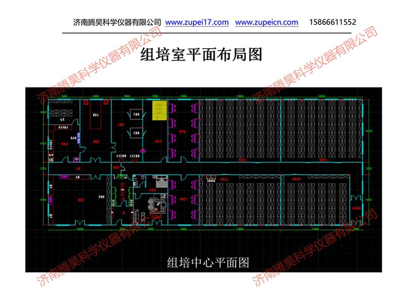 深夜视频免费在线观看  深夜视频免费在线观看室