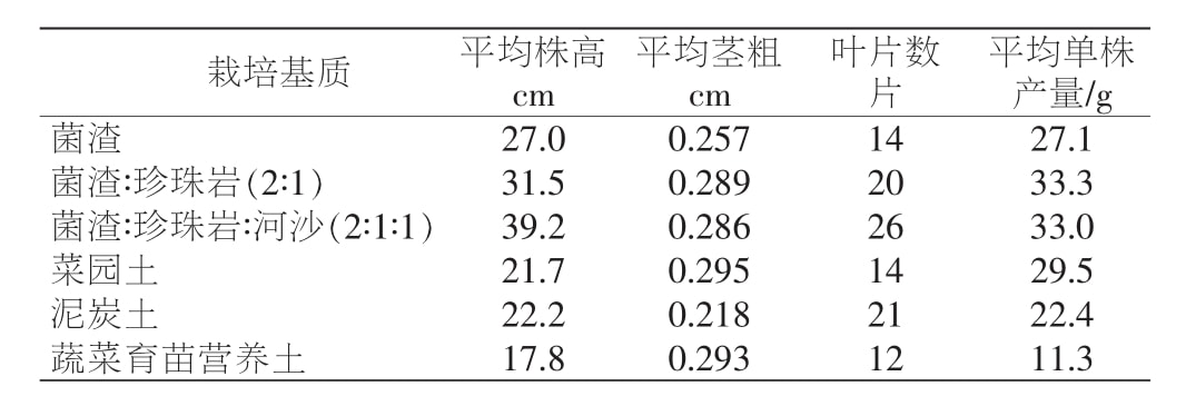 深夜视频免费在线观看室设计