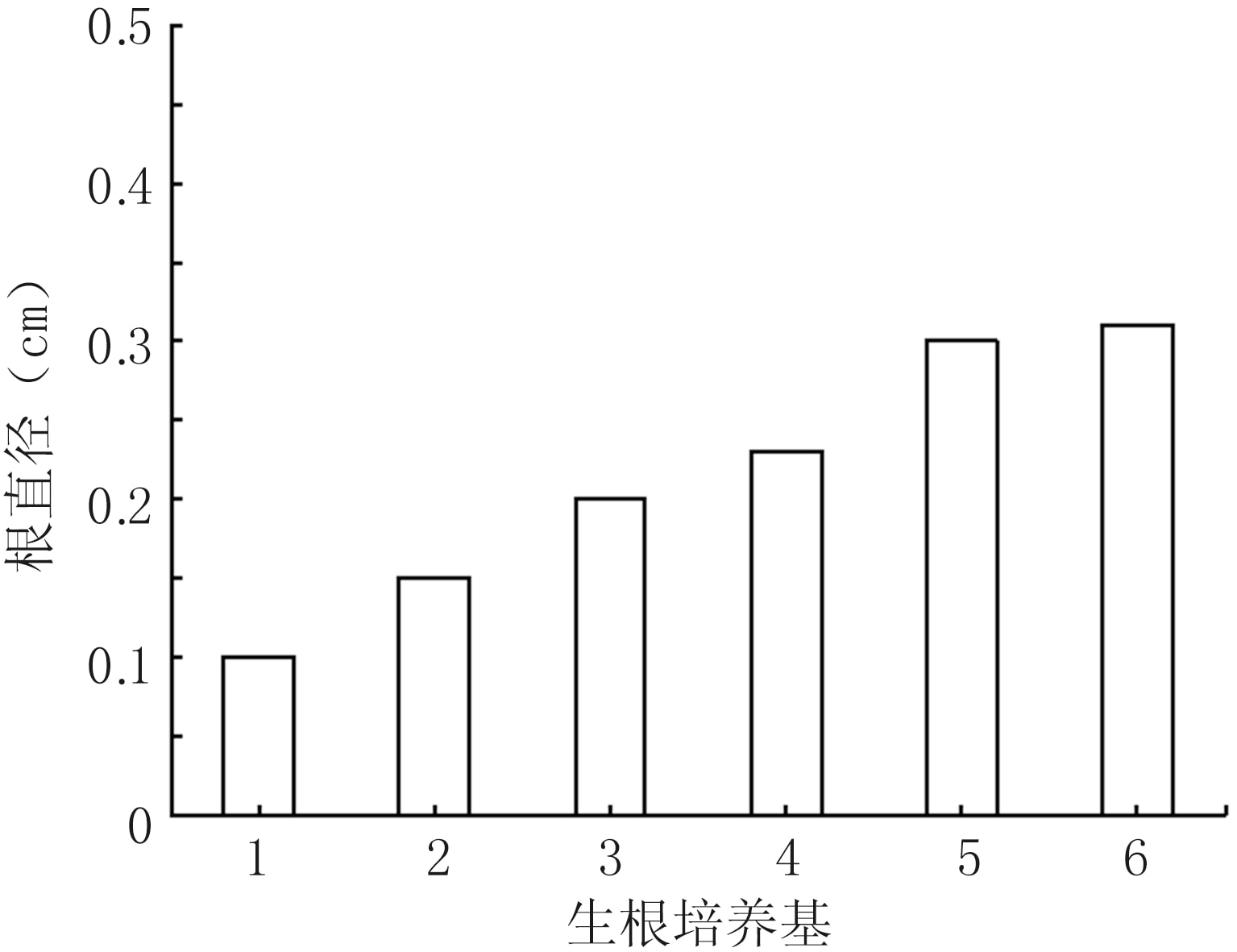 吊瓜深夜视频免费在线观看苗快繁技术体系的建立