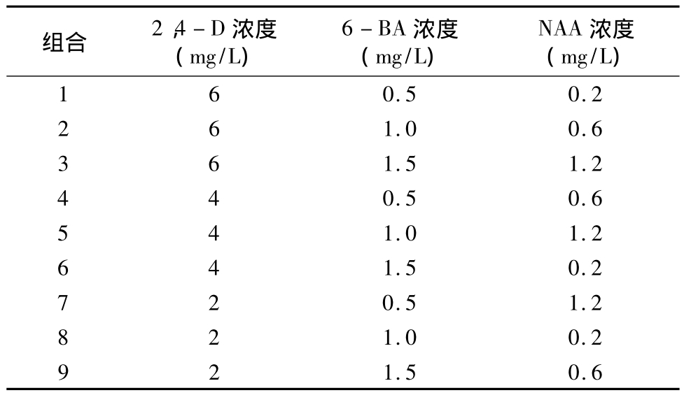 柳枝稷种子深夜视频免费在线观看快繁技术