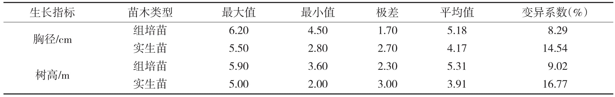 大花序桉深夜视频免费在线观看苗15个月龄幼林生长